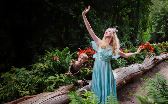 More Info for A Midsummer Night's Dream