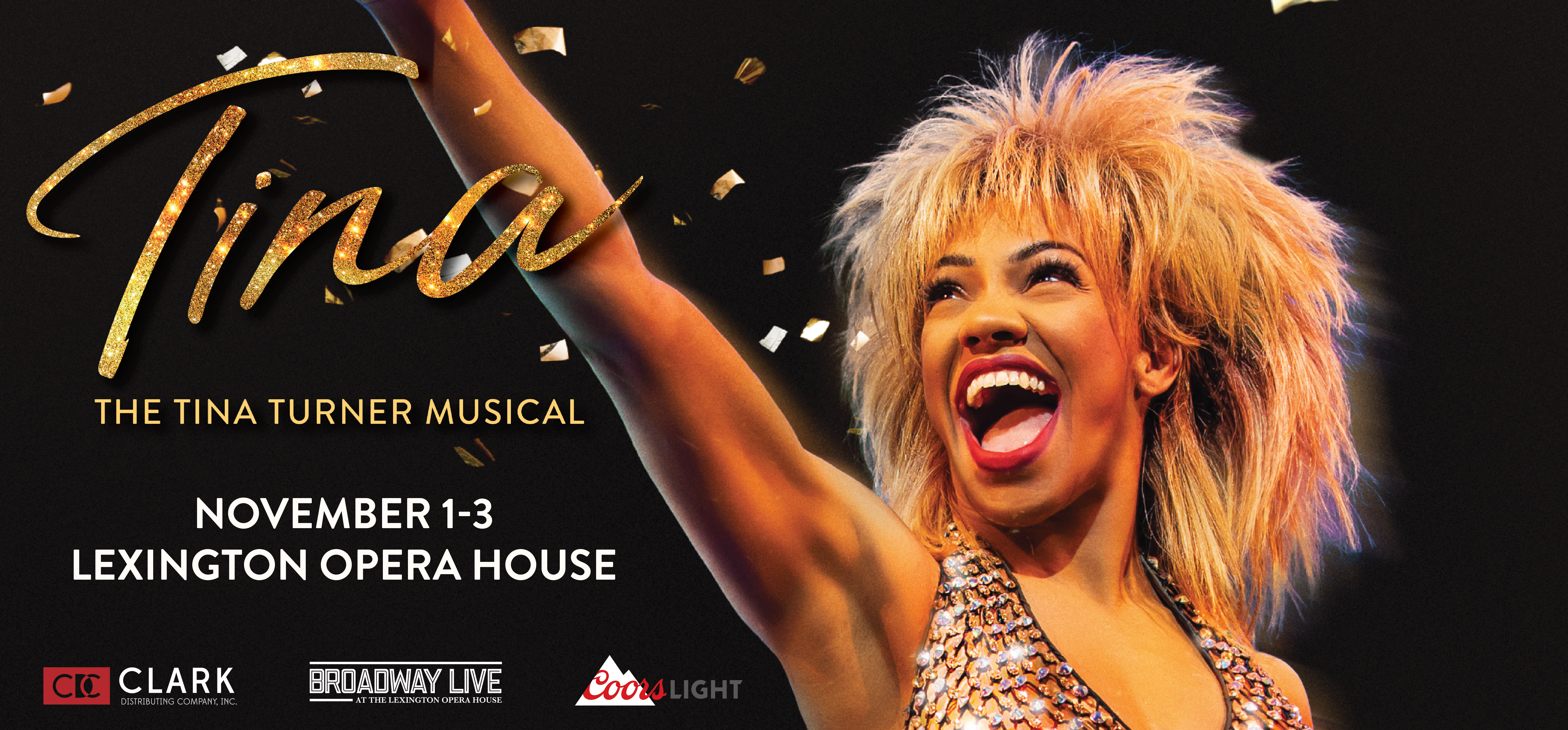 TINA - The Tina Turner Musical 