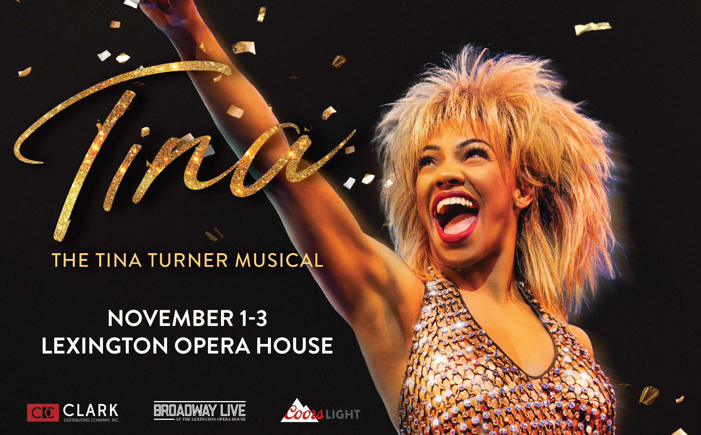 More Info for TINA - The Tina Turner Musical 